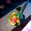 24K Dipped Gold Rose Three Color Customized Wholesale Holiday Gifts
