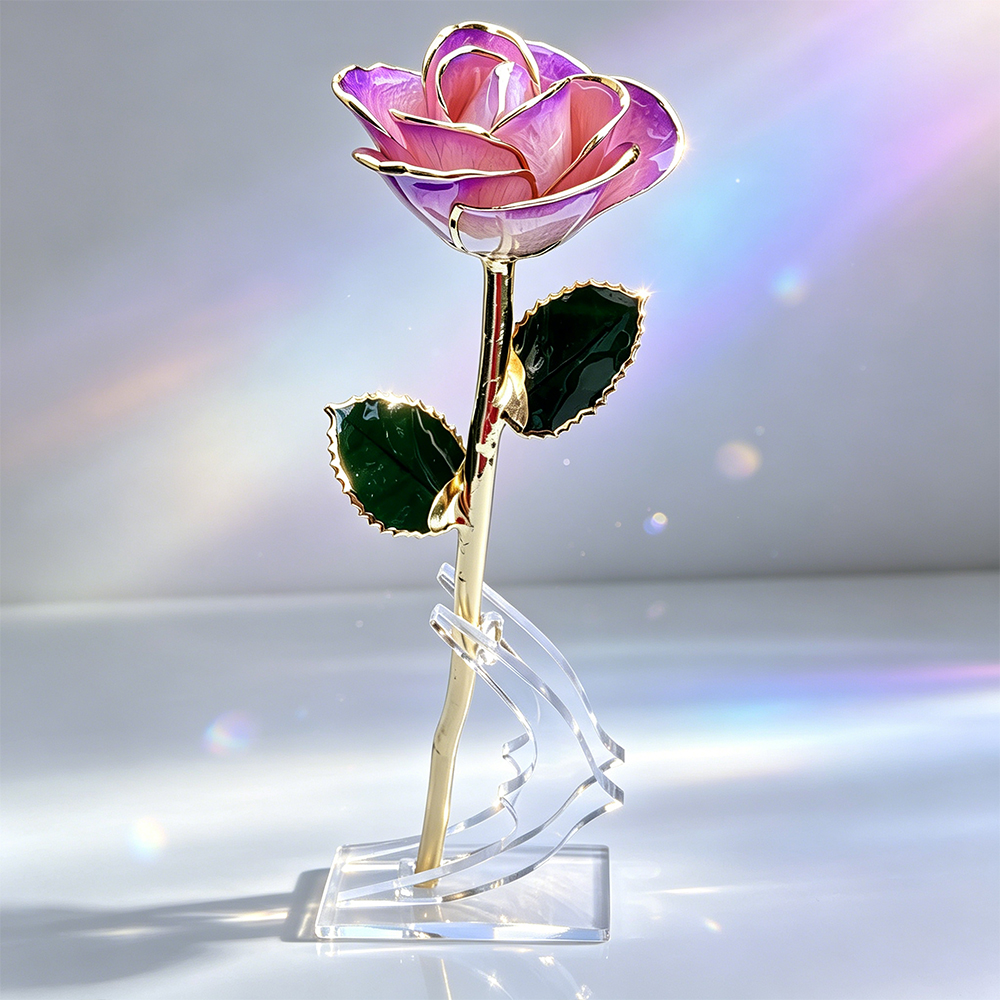 24K gold dipped rose with premium gift box