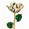 24k-gold-dipped-rose-zebra-gold-line-yc-03