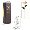 24k-gold-dipped-rose-orange-pink-edge-yc-05