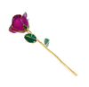 Source factory gold plated roses mother's day gift foreign trade company customized gold roses
