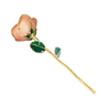 Factory direct sale gold dipped roses mother's day creative gifts foreign trade companies customized gold roses
