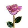 Factory direct sale gold dipped roses mother's day creative gifts foreign trade companies customized gold roses