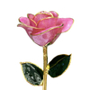 Gold-plated roses mother's day gift foreign trade company customized gold roses in stock wholesale