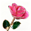 24K Gold Dipped Rose – Champagne Peach 5-Petal Rose