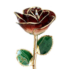 Champagne Noir Gradient 5-petal natural gold dipped rose