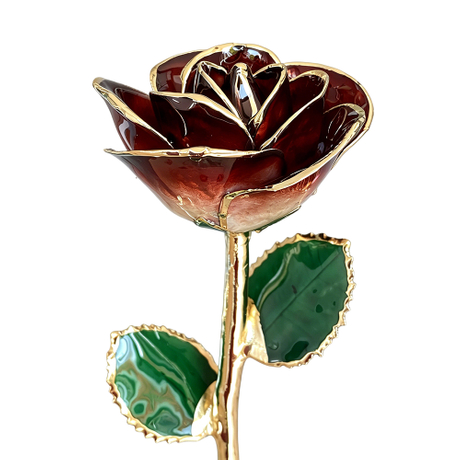 24K Gold Dipped Rose – Champagne Noir Gradient 5-Petal Rose