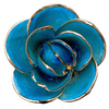 Color chart of 45 colorful 5-petal gold dipped roses