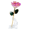 Peach Gradient Edge rose petal and gold-plated detail