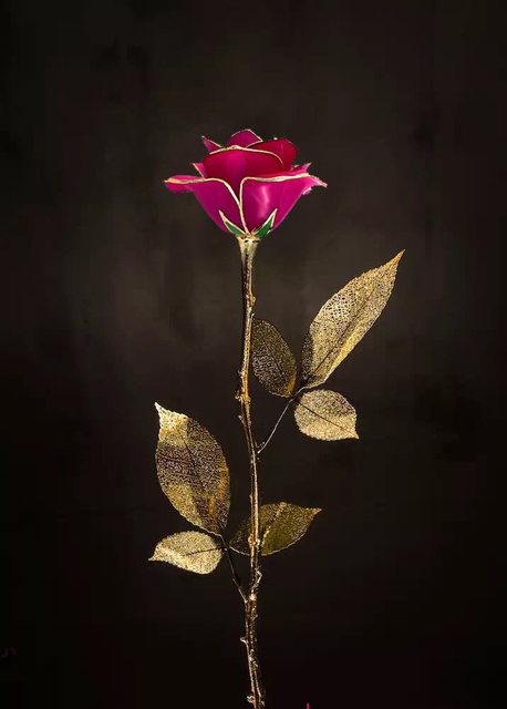 Six Gold Leaf Gold Rose