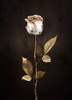 Six Gold Leaf Buds