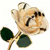 24k-gold-dipped-rose-zebra-gold-line-yc-03