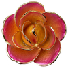 24k-gold-dipped-rose-orange-pink-edge-yc-05