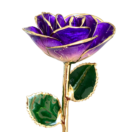 24K Gold Dipped Rose – Royal Violet Gold Ombre 5-Petal Rose
