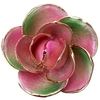 24K Gold Dipped Rose – Pastel Pink Green Blend 5-Petal Rose