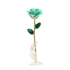 Gold-plated roses mother's day gift foreign trade company customized gold roses in stock wholesale