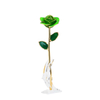 Gold-plated roses mother's day gift foreign trade company customized gold roses in stock wholesale