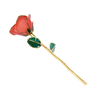 Factory direct sale gold-plated roses Valentine's Day proposal gift foreign trade companies customized gold roses