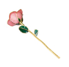 Source factory dipped gold roses mother's day gift foreign trade company customized gold roses
