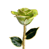 Source factory 24K gold dipped roses Christmas decoration cross-border e-commerce preferred baking paint flower