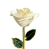 Dipped gold roses valentine's day gift foreign trade company customized gold roses spot wholesale