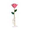 Factory direct sale gold-plated roses Mother's Day creative gifts foreign trade companies customized gold-plated roses