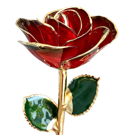 24K Gold Dipped Rose – Red Gradient Black Edge 5-Petal Rose