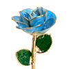 Aurora Sky Blue Edge 24K Gold Dipped Rose YC-34