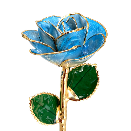 24K Gold Dipped Rose – Aurora Sky Blue Edge 5-Petal Rose