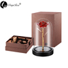 Daiya Red Rose 24K Gold /gold Leaf+The Glass Cover