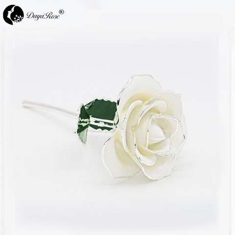 White Roses with Silver Lining(April)