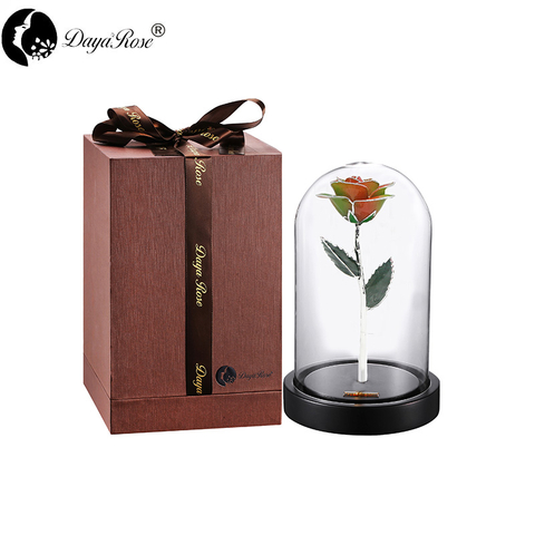 Rainbow with Silver Roses(June+The Glass Cover)