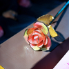 Daiya Rainbow Rose 24K Gold Dipped Rose Manufacturer (Natural Rose Material)
