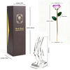 24K Gold Dipped Rose – Lotus Violet Edge 5-Petal Rose