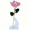 24K Gold Dipped Rose – Lotus Violet Edge 5-Petal Rose