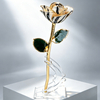 24k-gold-dipped-rose-zebra-gold-line-yc-03