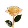 Gold-plated roses Valentine's Day gifts foreign trade companies custom gold roses source factory direct sale