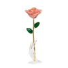 Source factory dipped gold roses mother's day gift foreign trade company customized gold roses