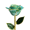 Factory direct sale gold-plated roses wedding souvenirs cross-border e-commerce preferred dipped gold roses spot wholesale
