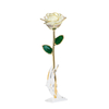 Factory direct sale gold-plated roses wedding decoration supplies cross-border e-commerce preferred dipped gold roses spot wholesale