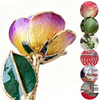 Aurora Yellow Purple 5-petal natural rose with gold-plated finish