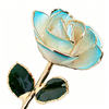 Sky Blue Gradient Edge gold rose gift display