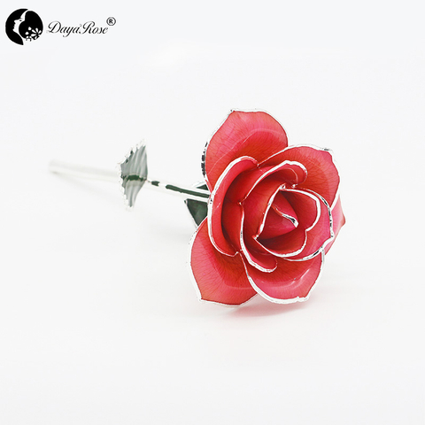 Pink Rose with Silver Lining (December)