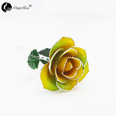 Two-tone Silver Rose (February)