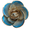 24k-gold-dipped-rose-golden-sky-gradient-yc-04