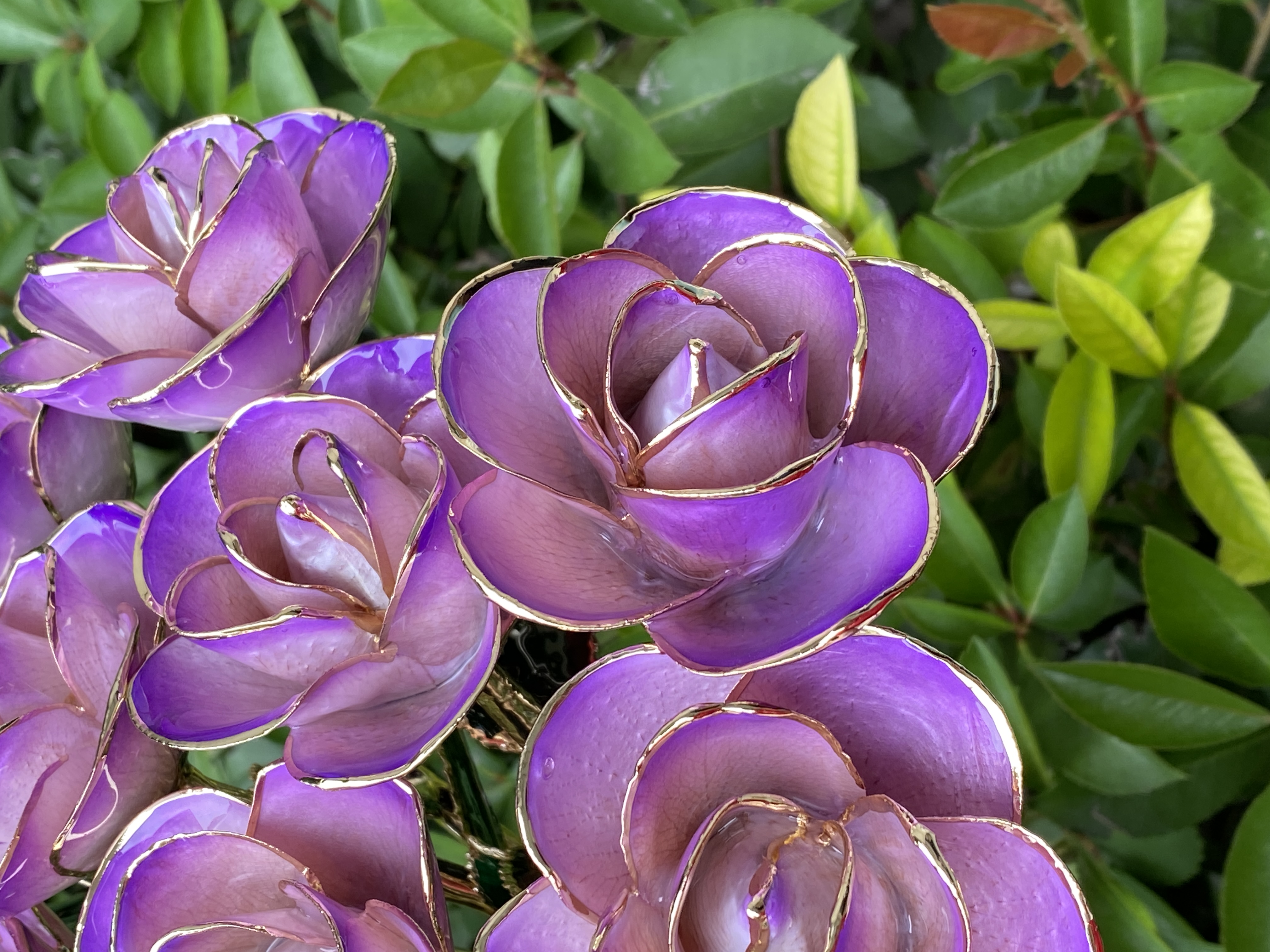 custom-gold-rose-oem-packaging.jpg