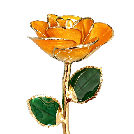 24K Gold Dipped Rose – Sunset Orange 5-Petal Rose