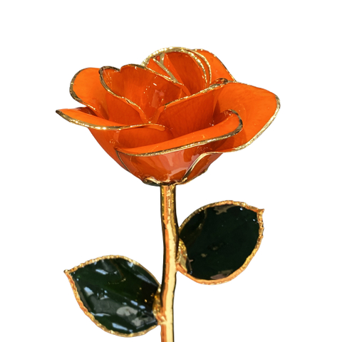 Source factory 24K gold-plated roses Christmas decoration cross-border e-commerce preferred baking paint flower