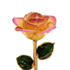Source factory gold-plated roses mother's day gift foreign trade company customized dipped gold roses
