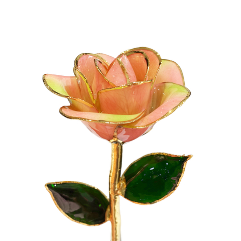 Source factory gold-plated roses wedding decoration supplies cross-border e-commerce preferred gold-plated roses in stock wholesale
